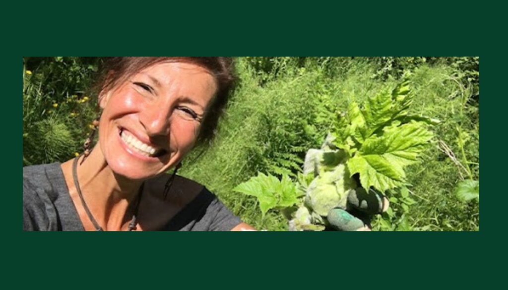 Medicinal Garden Kit