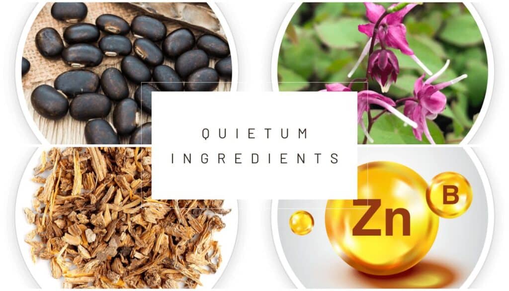 Does Quietum Plus Work? Discover Its Powerful Effectiveness Does Quietum Plus Work