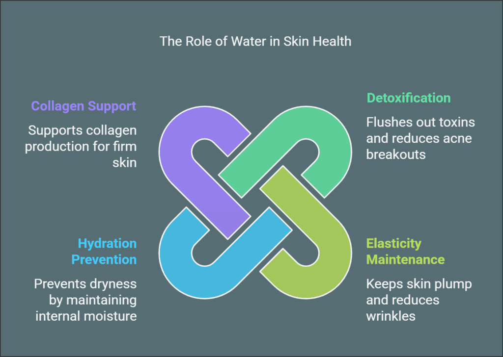 10 Benefits of Drinking Water: A Life-Changing Habit benefits of drinking water