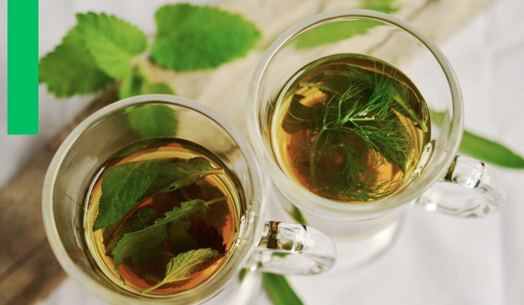 natural immunity boosters