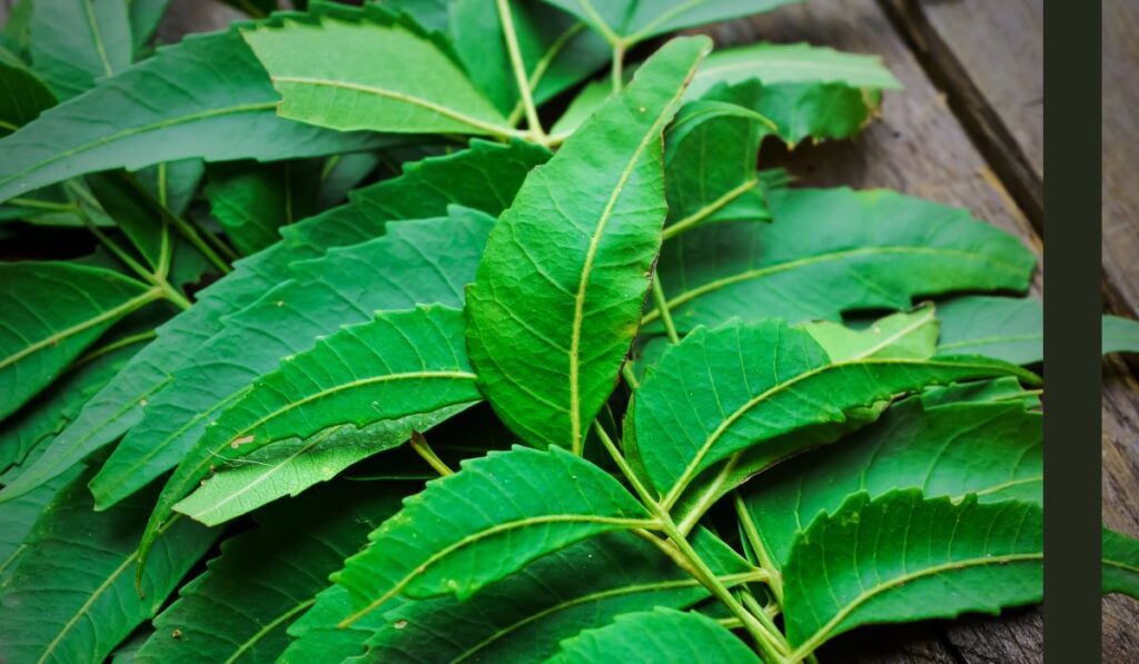 PotentStream Reviews: Boost Prostate Health with Natural Power PotentStream