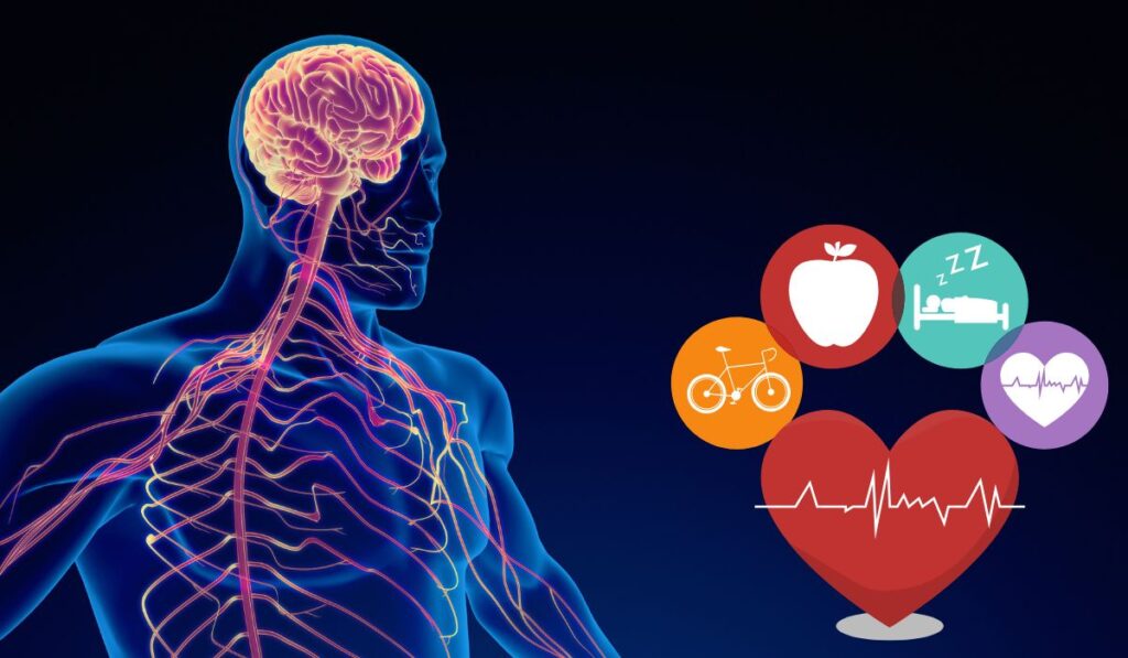 Nervovive Review: The Ultimate Natural Nerve Support Solution Nervovive