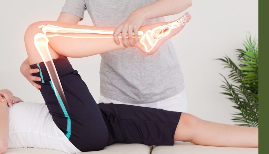 TriFlexarin: The Ultimate Guide to Joint Health Support TriFlexarin