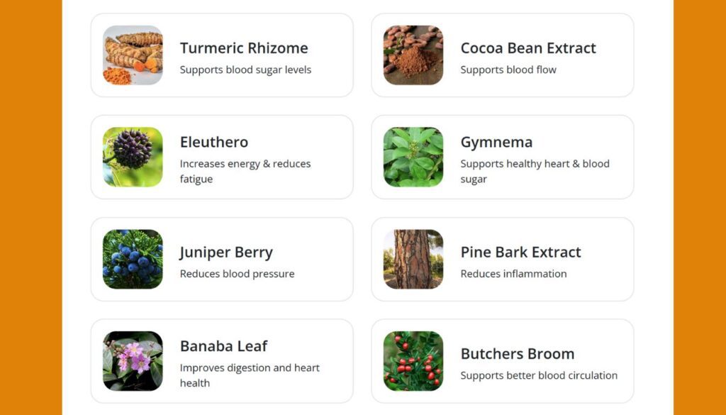 Cellucare Reviews: 8 Ingredients for The Best Supplement Cellucare Reviews